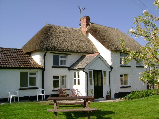 Hele Barton